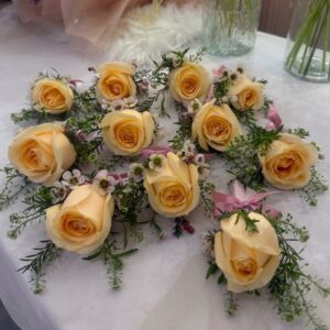 The Apricot Charm