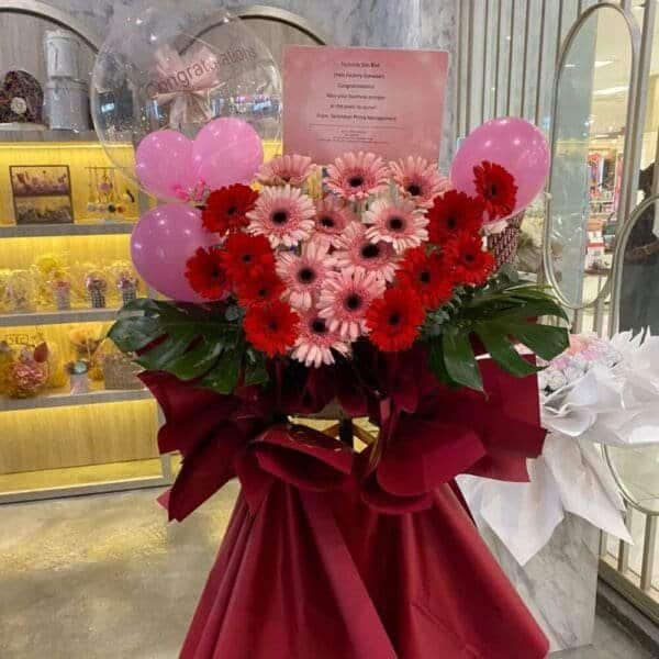Opening Flowers 13