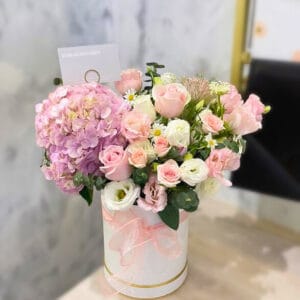 Dreamy Pastels