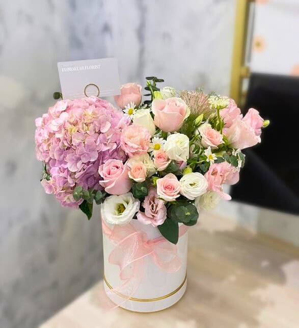 Dreamy Pastels