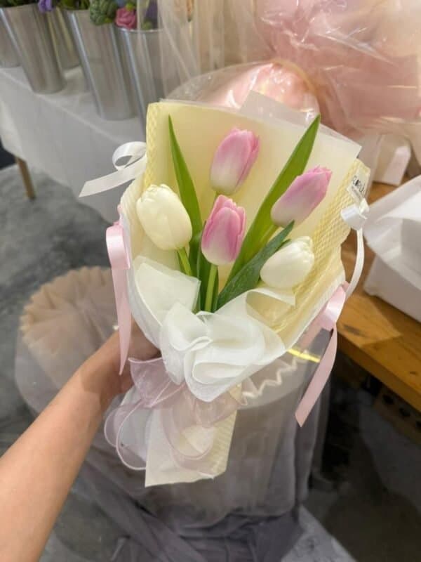 Cute tulips
